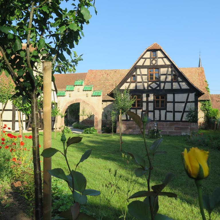 Gite D'Audrey Et Jean Uttenheim Buitenkant foto