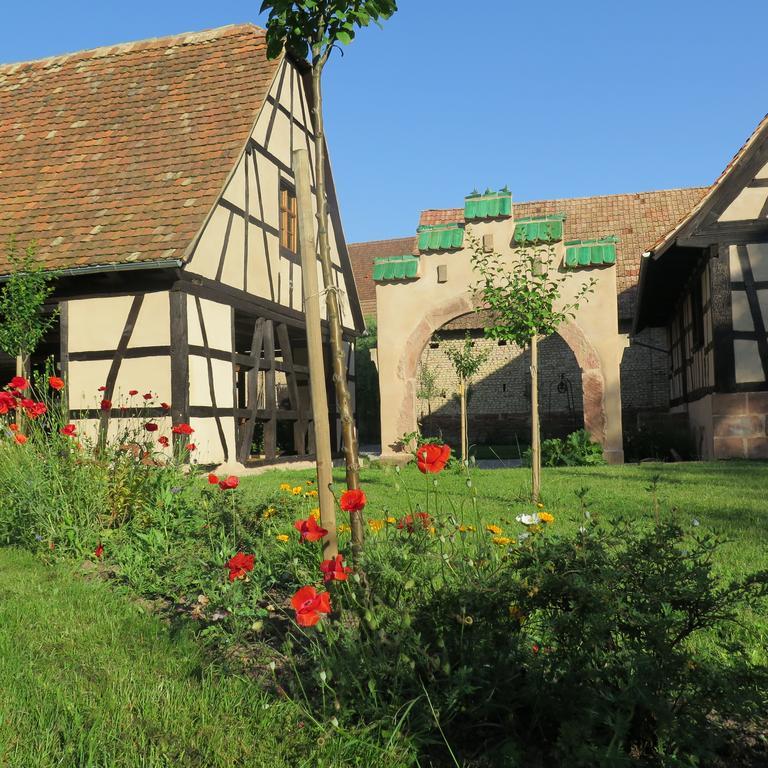 Gite D'Audrey Et Jean Uttenheim Buitenkant foto