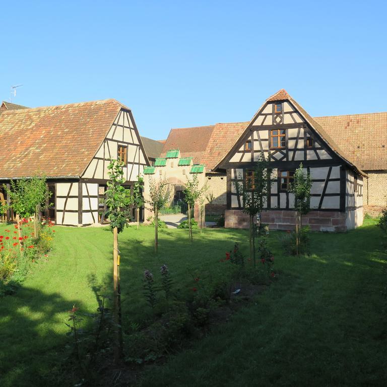 Gite D'Audrey Et Jean Uttenheim Buitenkant foto