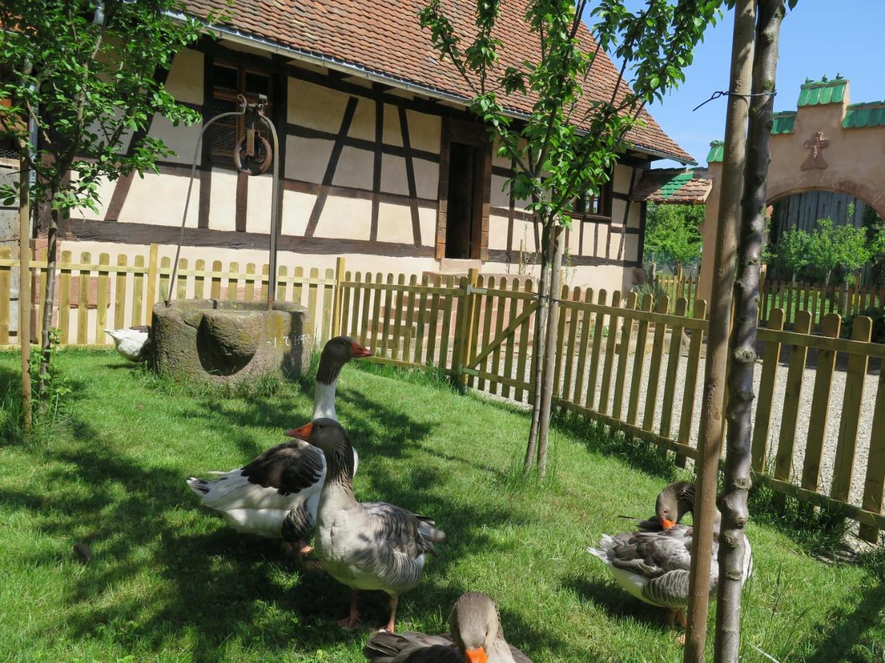 Gite D'Audrey Et Jean Uttenheim Buitenkant foto